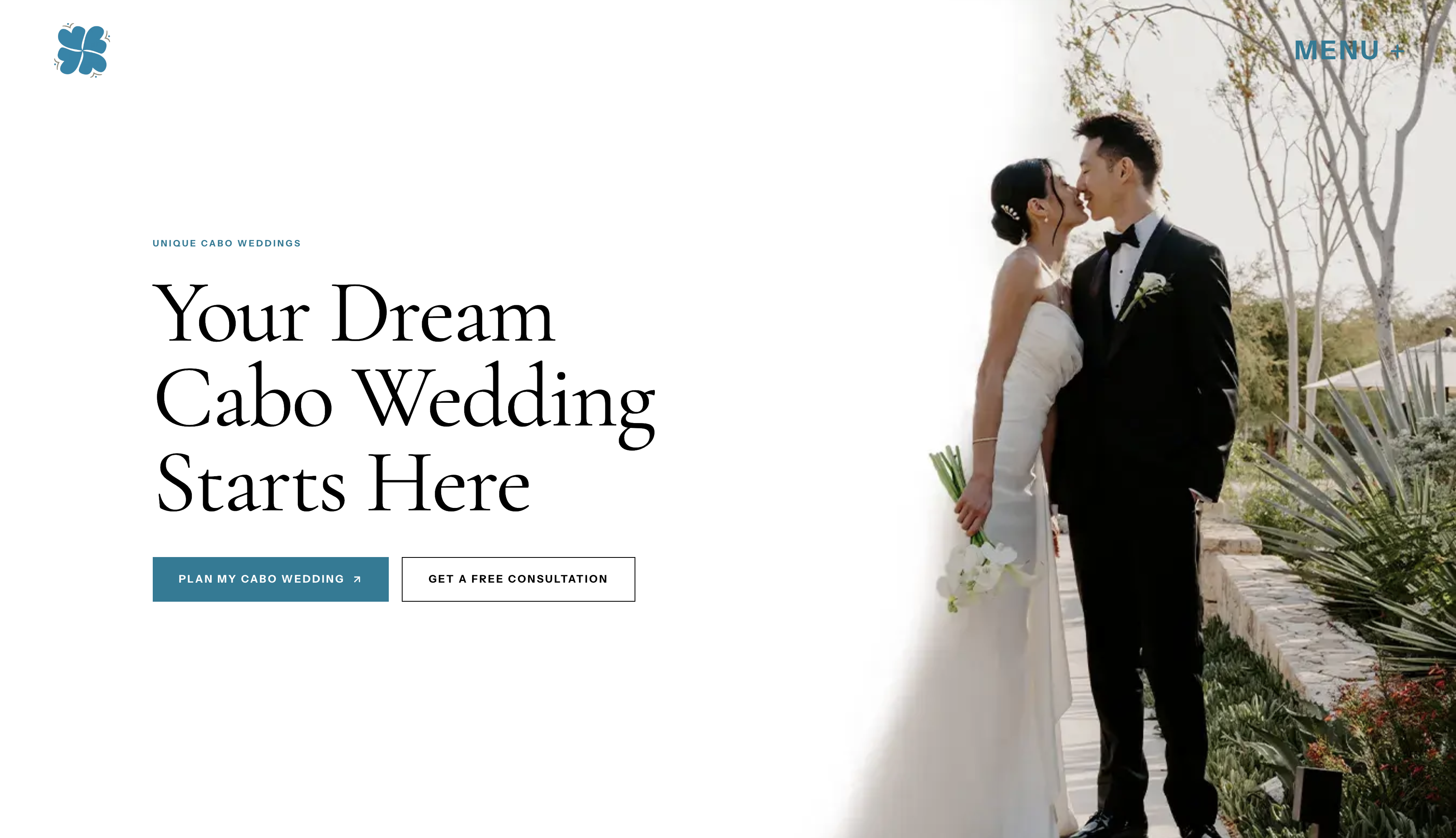 Unique Cabo Weddings website screenshot